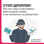 Как не стать дроппером
